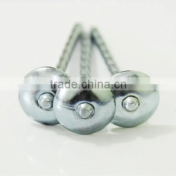 Best Selling Umbrella Head Roofing Nails in Africa photo-2