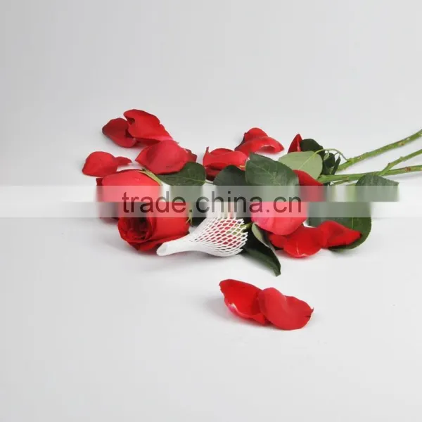 PE Plastic Protection Sleeve Packing Net for Flower Bud photo-6