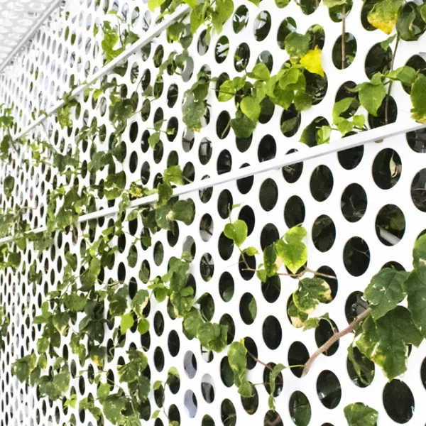 Exterior Wall Facade Aluminum/Stainless Steel Decoration Perforated Sheet Metal Factory Direct photo-5