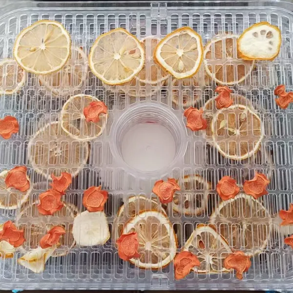 5 Tray Electric Food Dehydrator Machine With Digital Timer photo-5