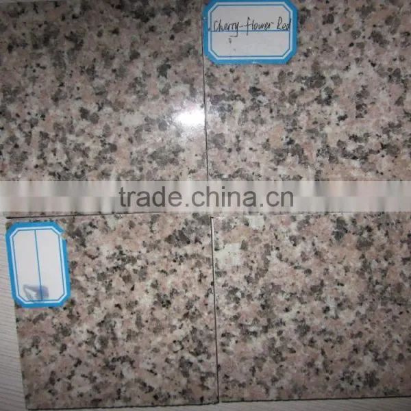 Chinese Cheapest G3767 Cherry Red Granite Stone photo-2