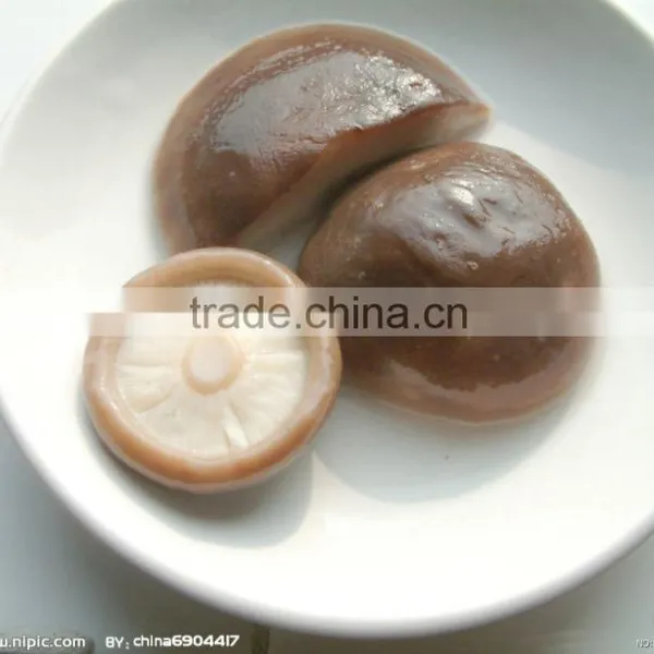 Hot Selling Shiitake Mushroom