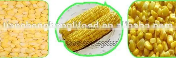 China Wholesale Frozen Corn Kernel