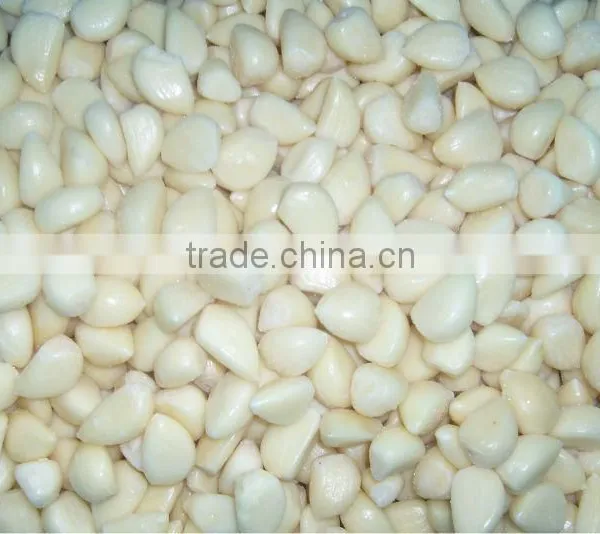 IQF Garlic Frozen Garlic Clove Peeled
