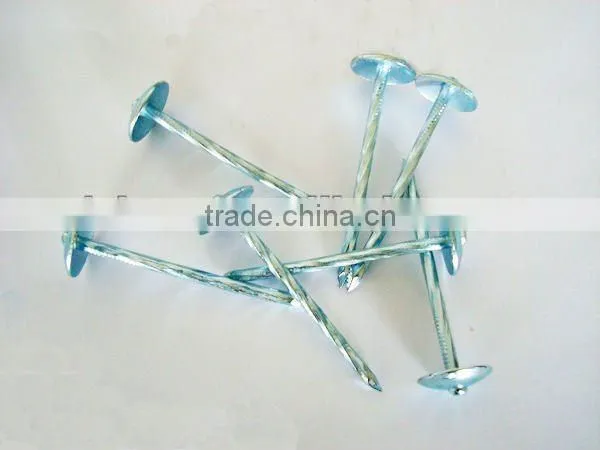 Galvanized Roofing Nail With Umbrella Head From DINGZHOU BEST HARDWARE CO.,LTD photo-2