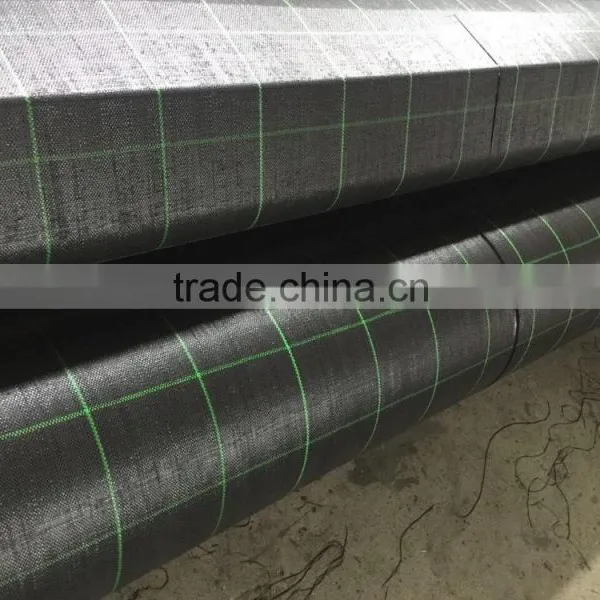 Black/Green pp Plastic Ground Cover photo-3