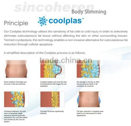 Body Slimming Body Shape Beauty Equipment photo-6