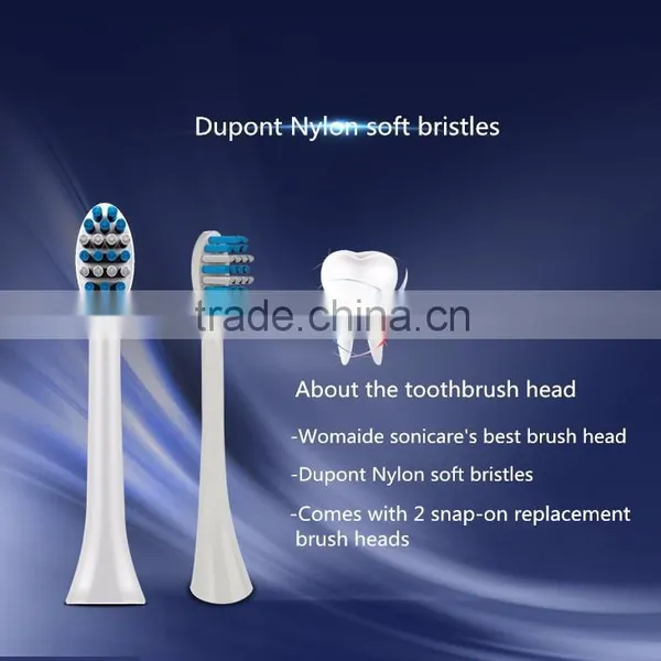 Wholesale Cheap Electric Toothbrush Price With Replaceable Brush Heads photo-5