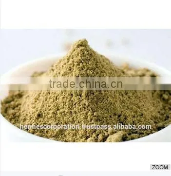 Best Quality Coriandrum Sativum Powder photo-3