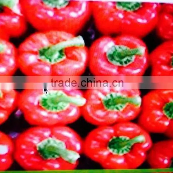Fresh Red Pepper