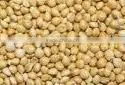 Yellow Millet