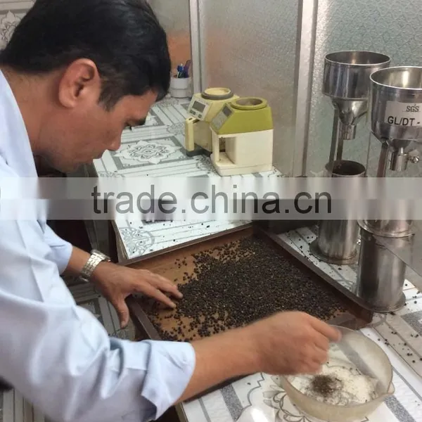 VIETNAM CLEAN BLACK PEPPER 550 G/L, 550 G/L photo-4