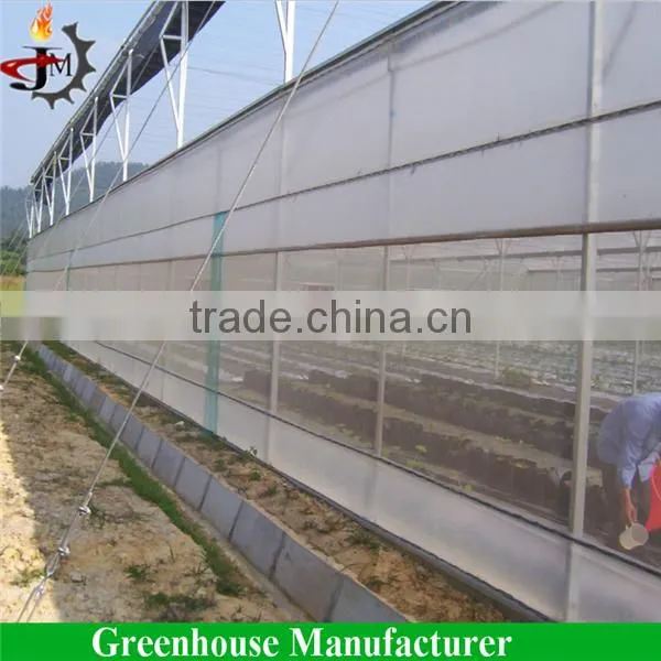 China factory price greenhouse window micro insect mesh