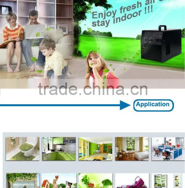 Hot Sell Portable Ozone Generator for Air Purifier and Water Treatment photo-5