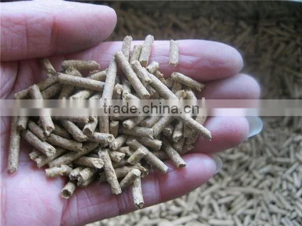 Plastic Pellet Machine Extruder photo-2