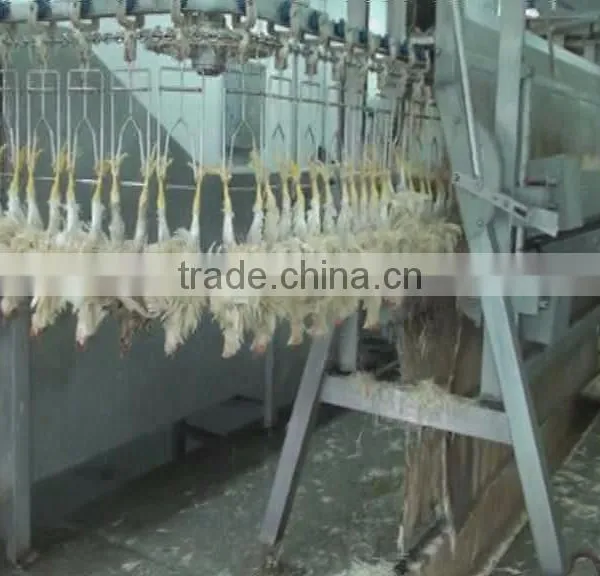 Slaughterhouse photo-3