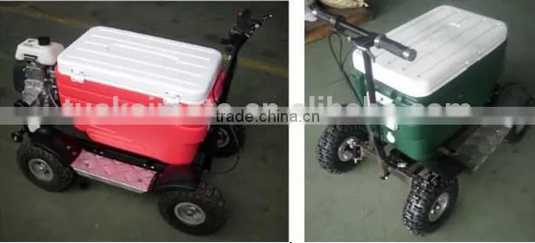 Hot Sale Gas Cooler Scooter for BBQ/43cc EPA Ice Chest Scooter (TKS-S43) photo-6