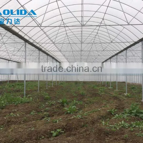 Factory Price BLD001 Plasctic Film Cover Greenhouse for Agricultural and Commercial Use photo-4
