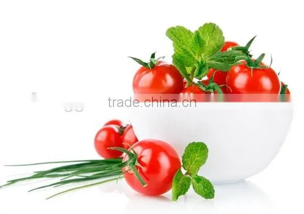 Tomato Greenhouse photo-2