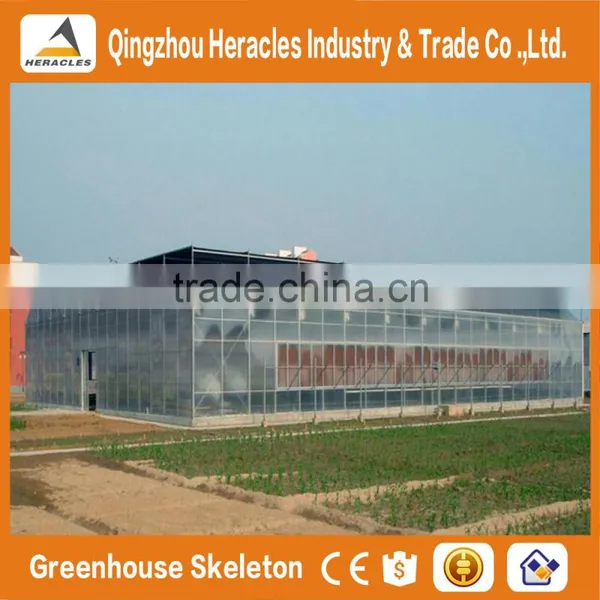 Factory Price Trade Assurance Greenhouse Equipment- Plastic Sheet Agricultural Greenhouse From China Supplier photo-4