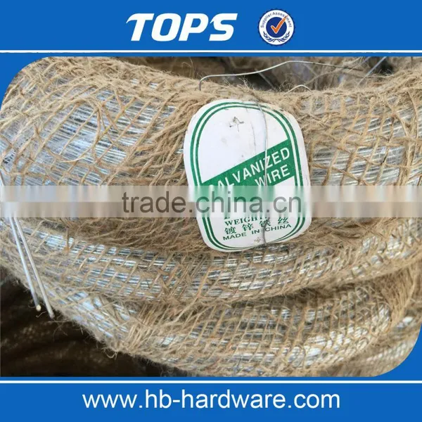 Electro Galvanized Iron Wire/black Binding Wire photo-5