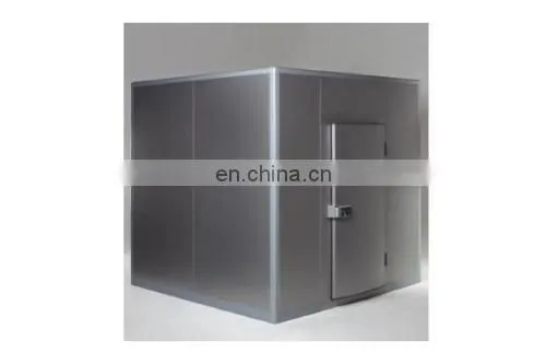 PU Sandwich Panel for Walk in Freezer to Store Frozen Fish photo-4