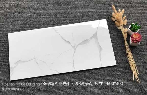 Foshan Porcelain Low Water Absorption 300x600 White Gloss Wall Tile photo-3