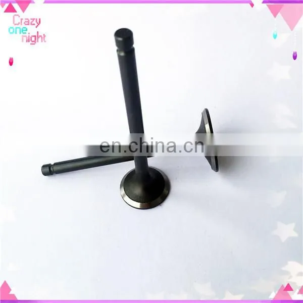 Coach Gasoline Inlet and Exhaust Engine Valve for Tata Indigo Marina photo-2