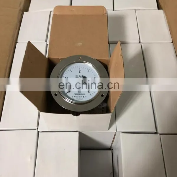 Pressure Gauge Y-100 photo-4