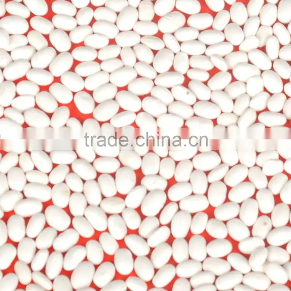 White Kidney Bean photo-2