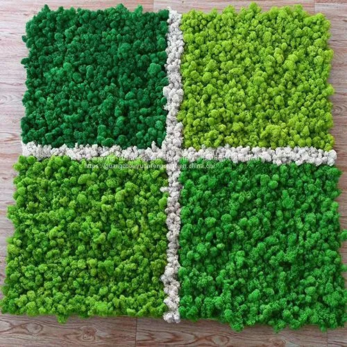 Real Natural Preserved Moss for Wall Decoration