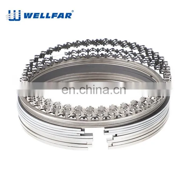 Wellfar 206 307 308 405 Engine Part Piston Ring 75mm 76.5mm for PEUGEOT Engine photo-2