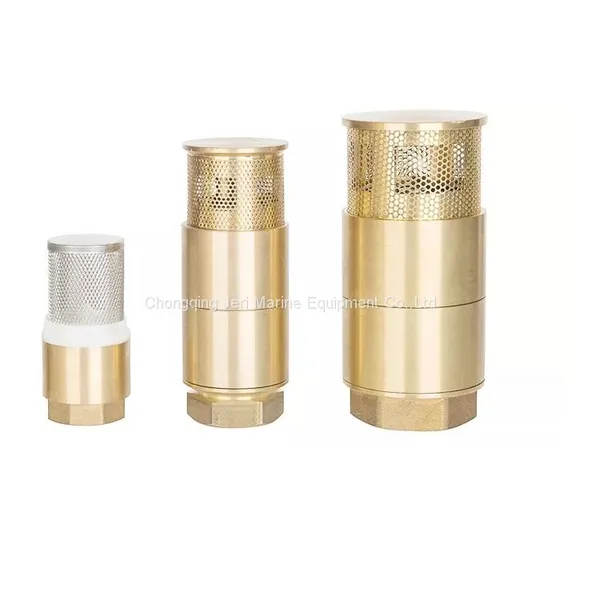Double Foot Valve photo-2