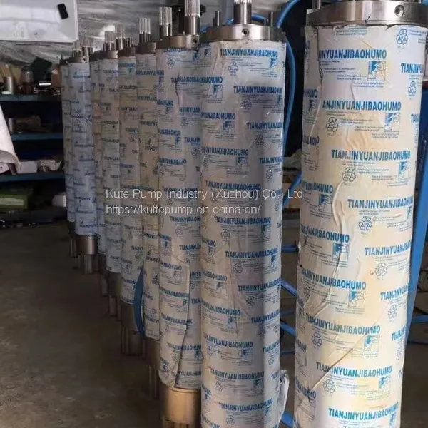 Customized Hot Springs in China Use High-temperature Resistant Deep Well Submersible PumpsCustomized Hot Springs in China Use High-temperature Resistant Deep Well Submersible Pumps photo-2