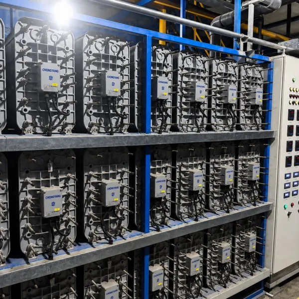 EDI Module for High Purity Water Treatment Systems photo-5