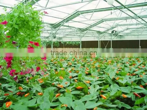 Polycarbonate Sheet for Greenhouse