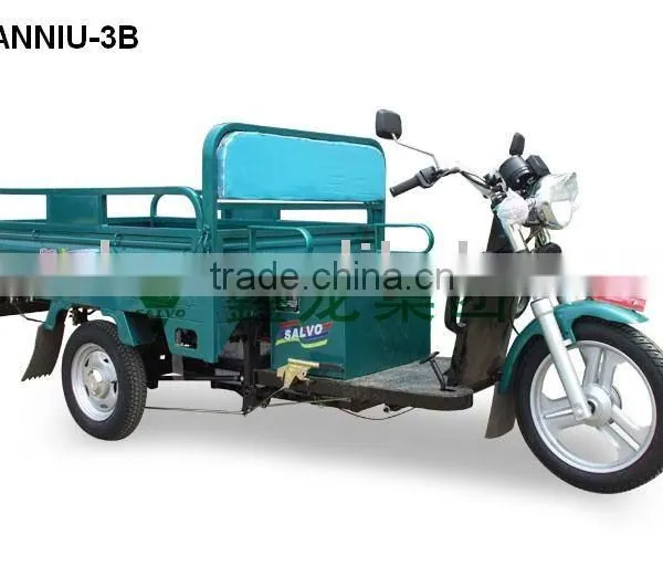 Smart Electric Car Electrial Vehicle Electric Bicycle Motor Electric Motorized Vehicle