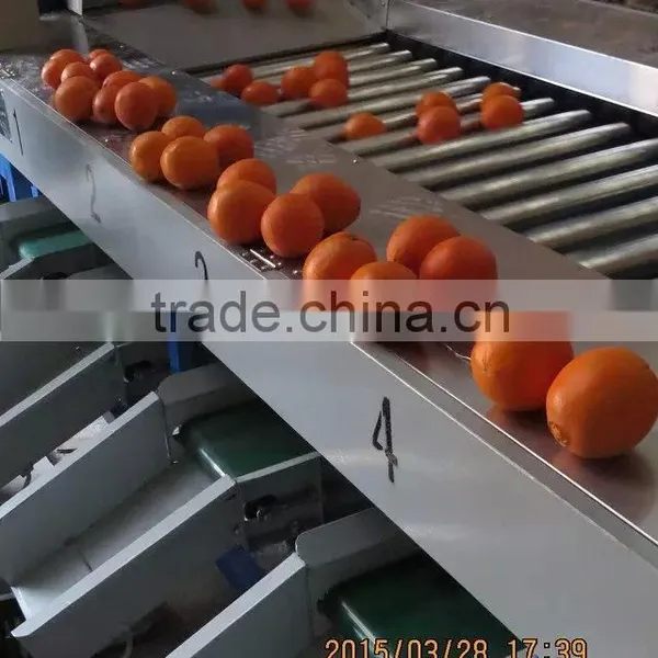 Sweet Potato Cleaning Drying and Grading Production Line photo-5