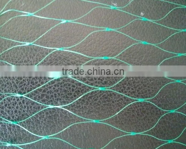 100% PP Plastic Fruit Cage Roof Netting/Fruit Protection Net photo-5