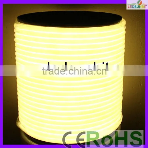 24V Blue Led Neon Flex Tube Light photo-3