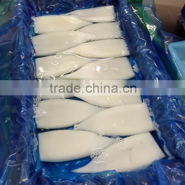 Layer Packed Frozen Squid Tube Ommastrephes Bartrami photo-2