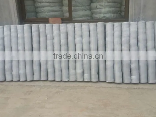Aluminum Window Screen 18X16mesh to Prevent Insect photo-6