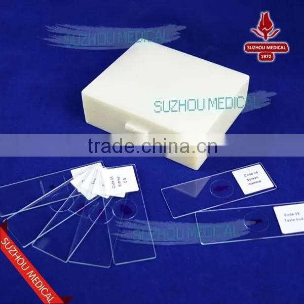 Lab Accessories Microbiology Bacteria Prepared Slides photo-2