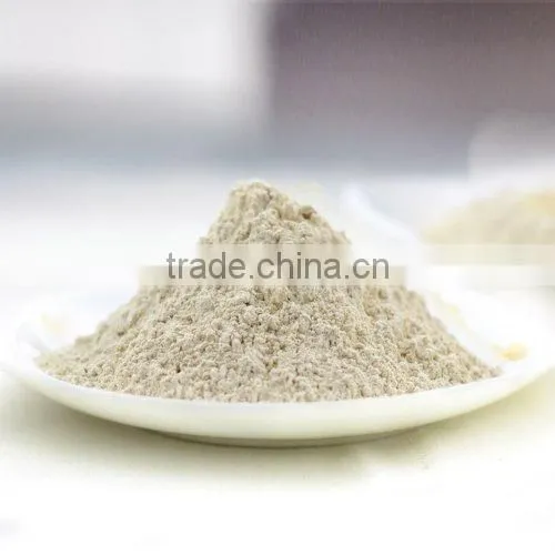 A Grade Dehydrated Garlic Powder Natural Spices From Factory Directly photo-3