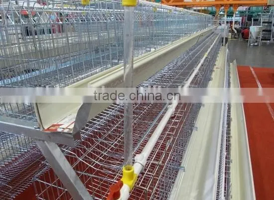 Anping Factory Chicken Egg Laying Cage for Farm photo-2