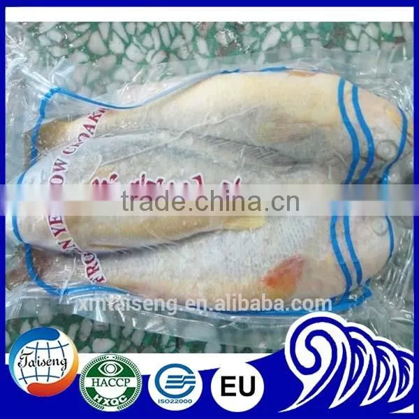 Frozen Fish Fresh Yellow Croaker For Sale photo-5