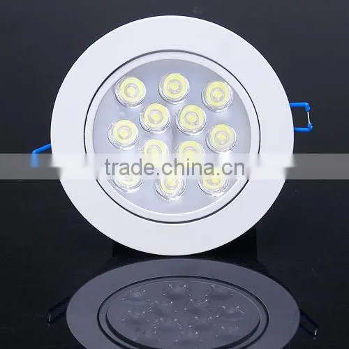 12*1W High Power LED Down Light