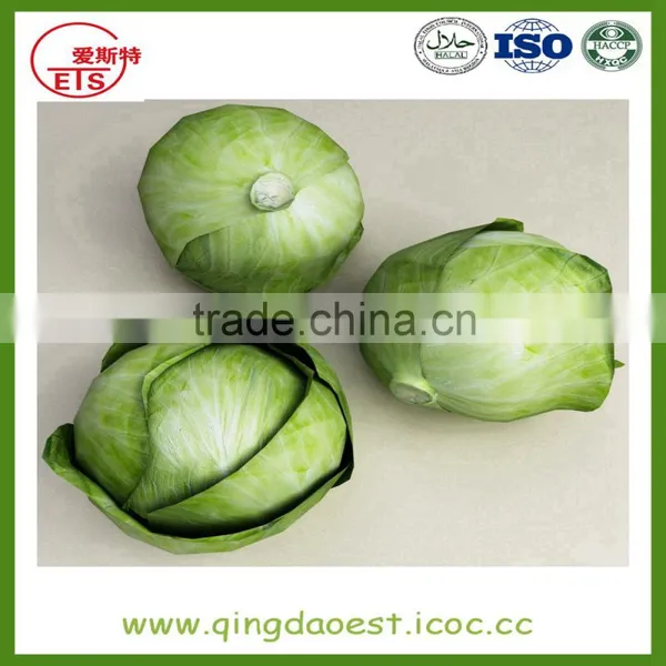 Chinese Hot Sale Fresh Cabbage With High Quality photo-5