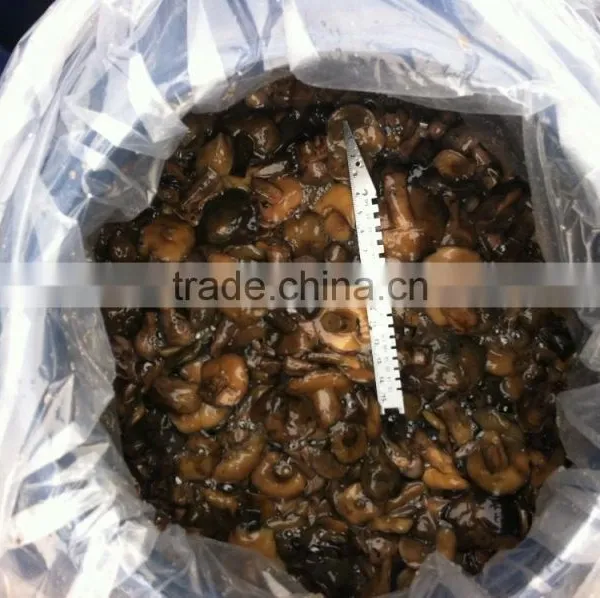 Suillus in Brine photo-2