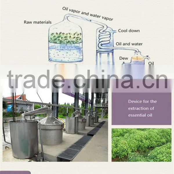 100% Pure and Nature Extractum Glycyrrhizae Liquidum With Glycyrrhizic Acid photo-4